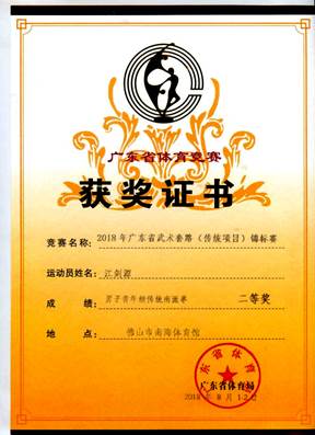 说明: 传统南派拳一等奖江剑源
