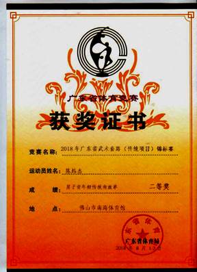 说明: 传统南派拳二等奖陈炜杰