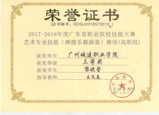 说明: 弹拨乐器演奏三等奖2