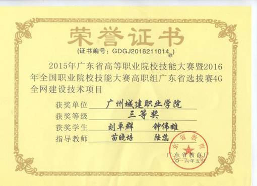 说明: 4G全网建设